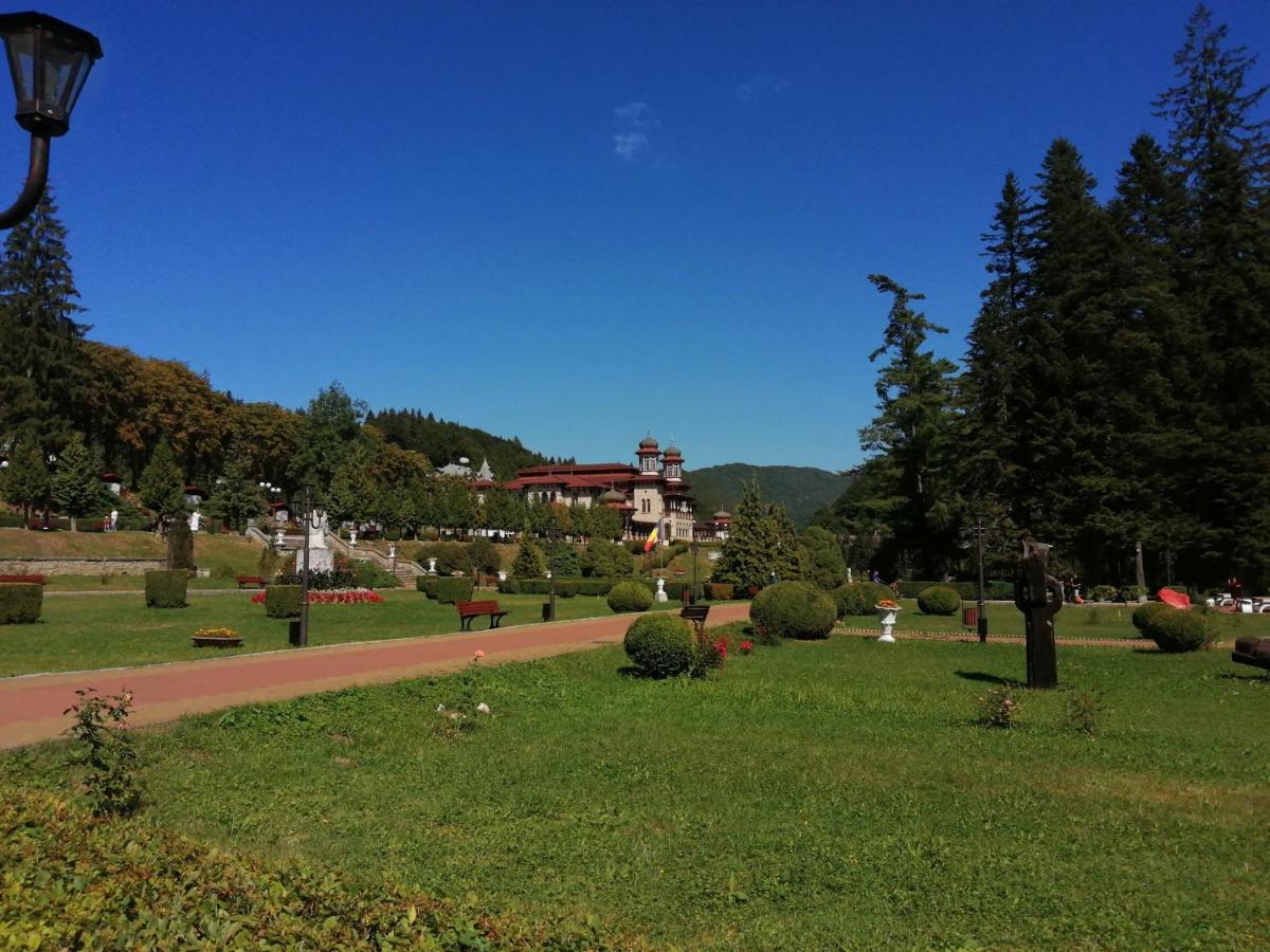 Apartamentul Alfa Slănic-Moldova Eksteriør billede