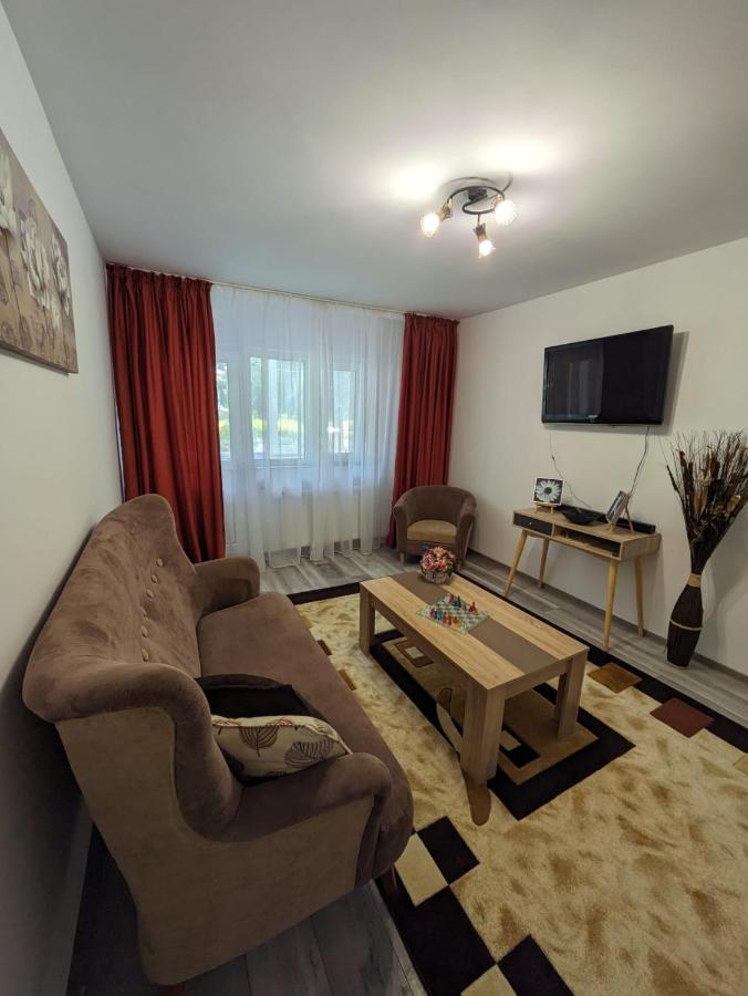 Apartamentul Alfa Slănic-Moldova Eksteriør billede