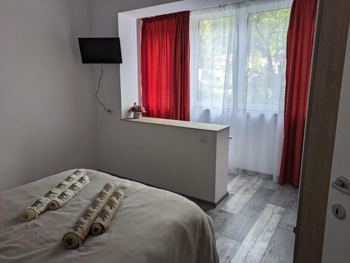 Apartamentul Alfa Slănic-Moldova Eksteriør billede