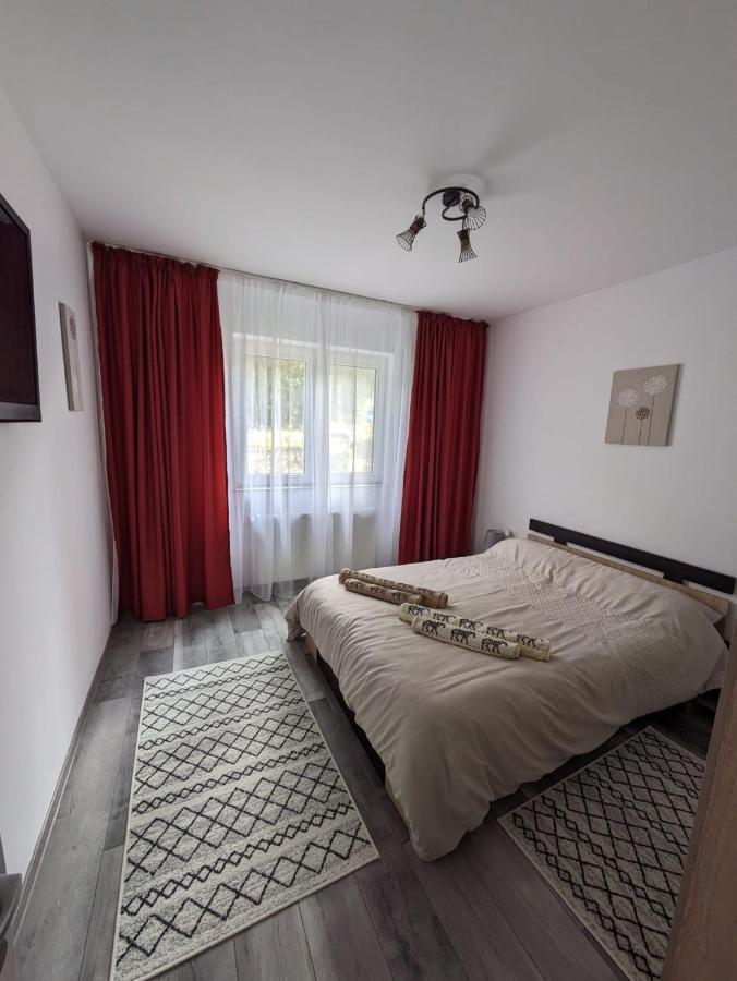 Apartamentul Alfa Slănic-Moldova Eksteriør billede
