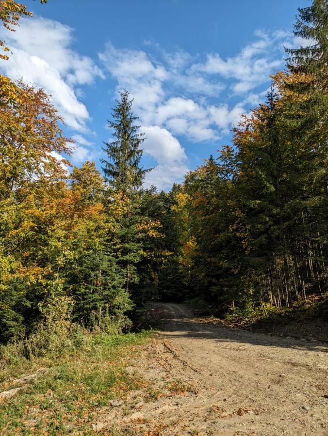 Apartamentul Alfa Slănic-Moldova Eksteriør billede